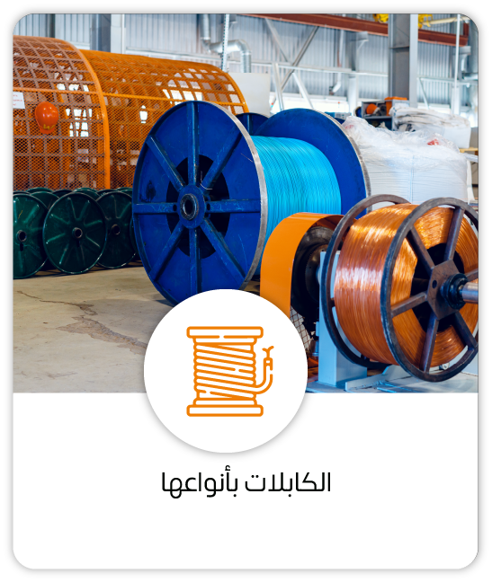 كـفــاءة الـطــاقــة، والتخــزيـــن والبنيـــة التحتيـــة الرقميـــة